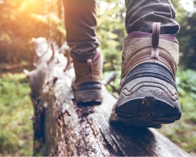 Person in hiking boots walking across a fallen treen