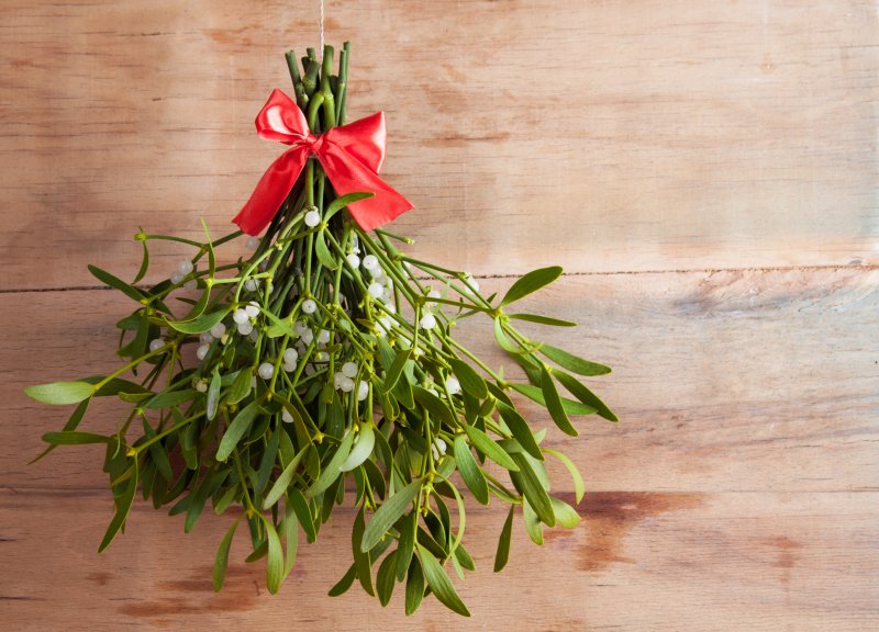 A mistletoe hanging against a wooden wall
